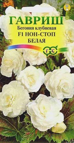 Семена Бегония Нон-Стоп белая F1 (Гавриш)