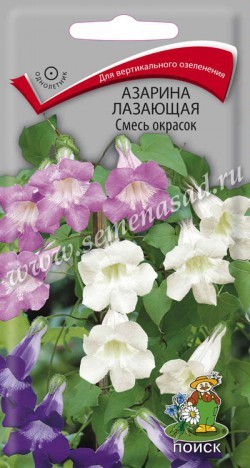 Семена Азарина лазающая Смесь окрасок (Поиск)