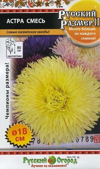 Семена Астра Русский Размер II, смесь НК
