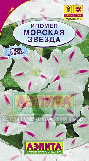 Семена Ипомея Морская звезда (Аэлита)