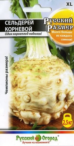 Семена Сельдерей Русский Размер корн 100шт НК