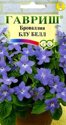 Семена Броваллия Марине Белл  (Гавриш)