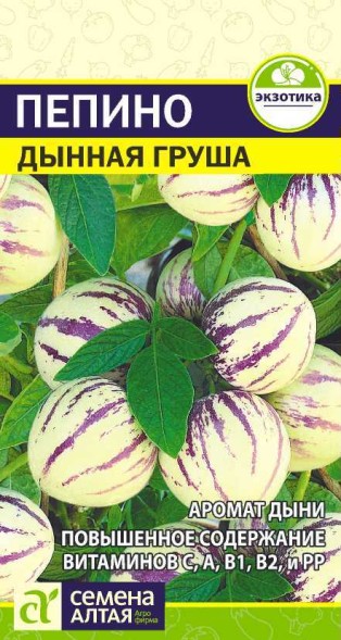 Семена Пепино (Дынная Груша) (Семена Алтая)