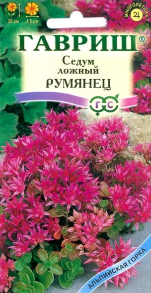 Семена Седум  ложный Румянец (Гавриш)