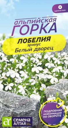 Лобелия Белый фонтан плетистая (Семена Алтая)