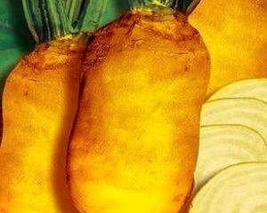 Семена Свекла кормовая оранжевая Бригадир (фасовка) - 1 кг (Германия)