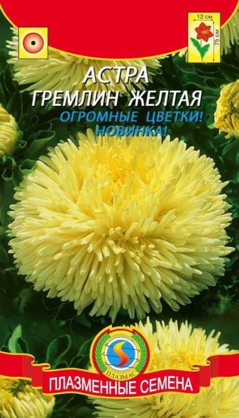 Семена Астра Гремлин Желтая ПЛ