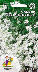 Клематис Шестилепеcтный УД