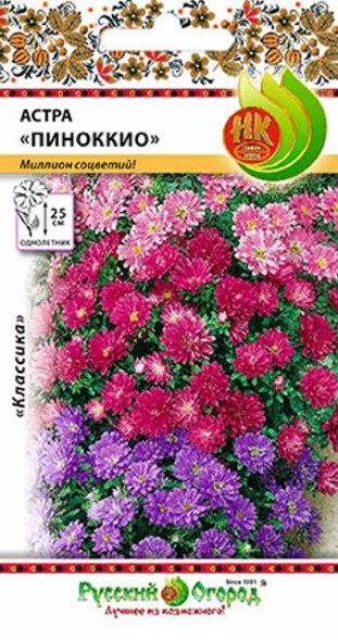 Семена Астра Пиноккио низкорослая смесь НК