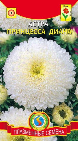Семена Астра Принцесса Диана ПЛ