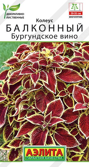 Семена Колеус балконный Бургундское вино (Аэлита)