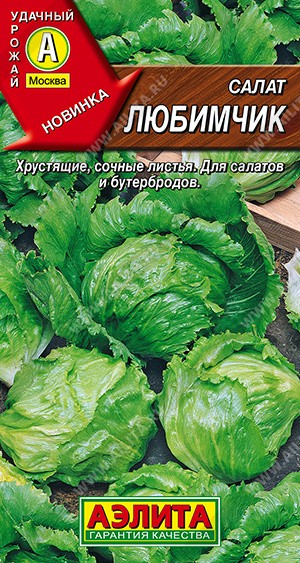 Семена Салат Любимчик (Аэлита)