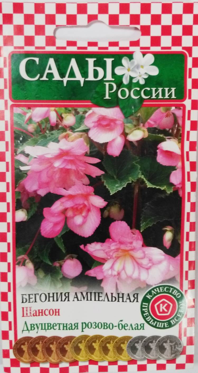 Оранжевых гербер, цветы россии челябинск