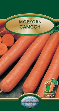 Морковь Самсон (Поиск)