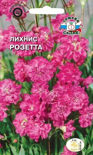 Семена Лихнис Розетта сверкающий розовый (СеДеК)