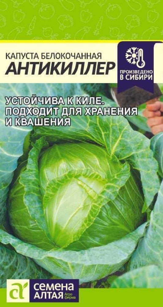 Выбор правильного сорта капусты