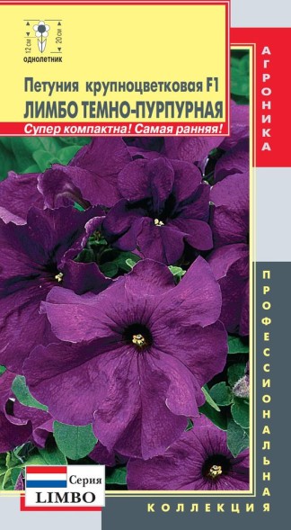 Семена Петуния крупноцветковая F1 (серия Limbo) Лимбо Темно-пурпурная ПЛ