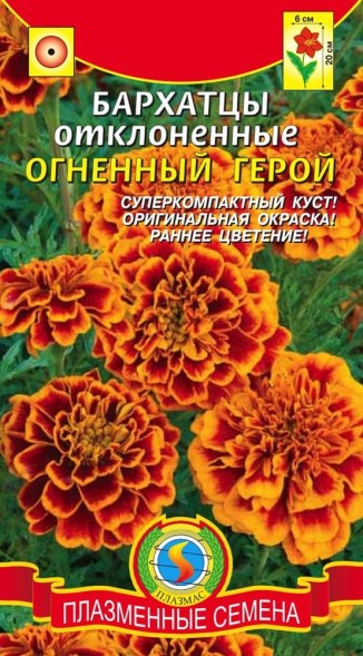 Семена Бархатцы отклоненные Огненный Герой ПЛ