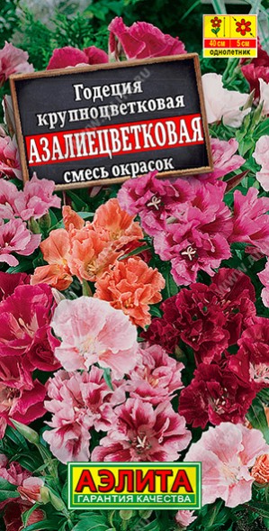 Семена Годеция Азалиецветковая (Аэлита)