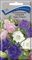 Колокольчик средний Чашка с блюдцем (Поиск)