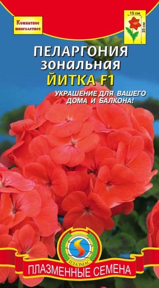 Пеларгония зональная Йитка F1 ПЛ