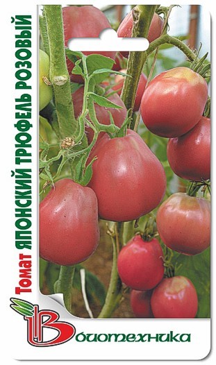 Семена Томат Японский трюфель розовый (Биотехника)