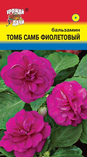 Семена Бальзамин Том Самб Фиолетовый УУД