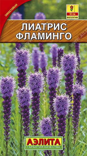 Семена Лиатрис колосковая Фламинго (Аэлита)