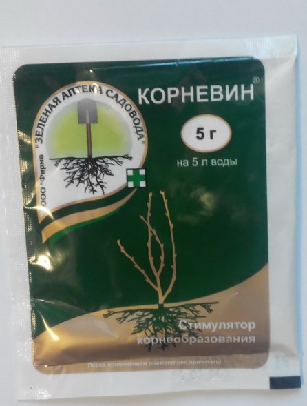  Корневин 5 г ЗАС