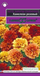 Бархатцы отклоненные Хамелеон розовый (Гавриш)