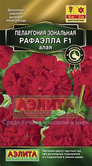 Семена Пеларгония Рафаэла F1 Алая (Аэлита)