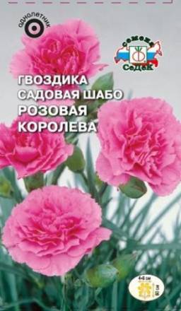 Гвоздика садовая шабо Розовая Королева (СеДеК)