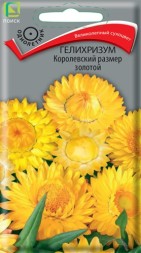 Гелихризум Королевский размер Золотой (Поиск)