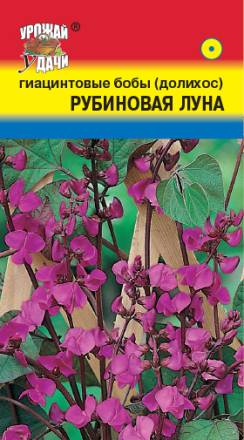 Бобы Гиацинтовые (Долихос) Рубиновая луна УУД