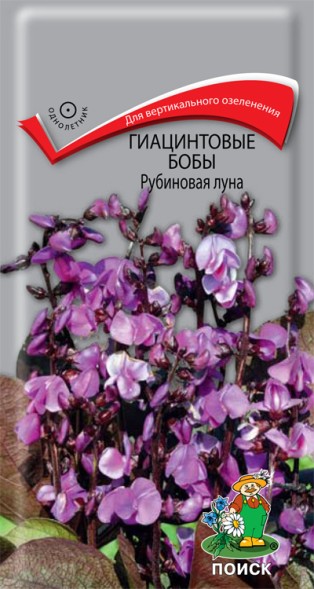 Семена Долихос (гиацинтовые бобы) Рубиновая луна (Поиск)