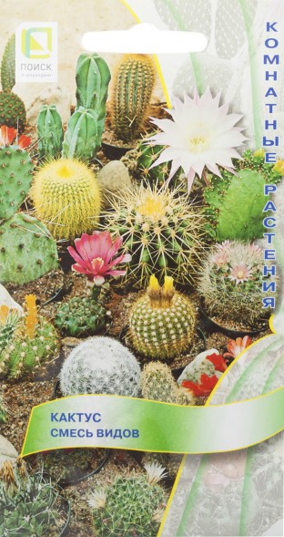 Семена Кактус смесь видов (Поиск)
