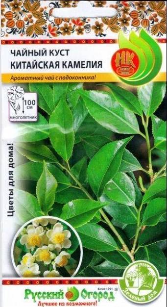 Камелия Китайская Купить В Тольятти