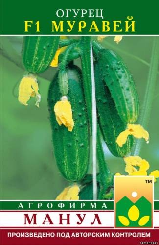 Семена Огурец Муравей F1 (Манул)