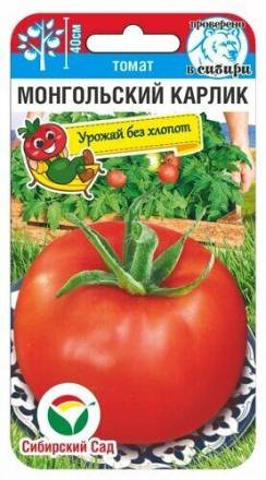 Томат Монгольский карлик (Сиб сад)