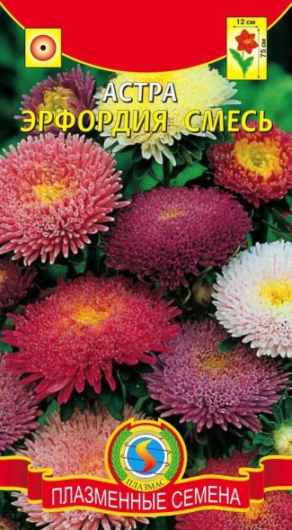 Семена Астра Эрфордия, смесь ПЛ