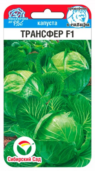 Семена Капуста белокочанная Трансфер F1 (Сиб сад)