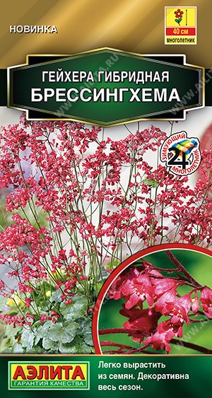 Семена Гейхера Брессингхема (Аэлита)