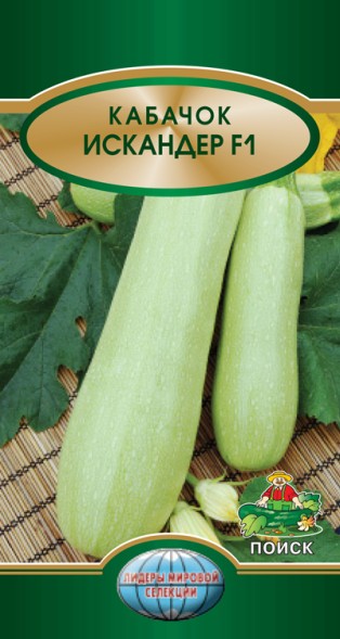 Семена Кабачок Искандер F1 (Поиск)