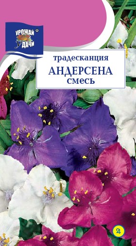 Семена Традесканция Андерсена смесь УУД