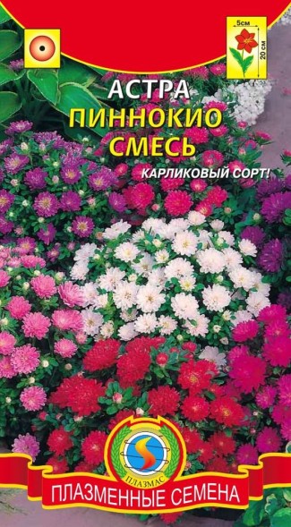 Семена Астра Пиноккио, СМЕСЬ ПЛ