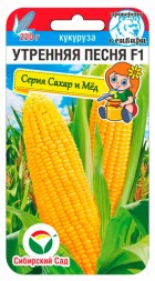 Кукуруза Утренняя песня F1 (Сиб сад)