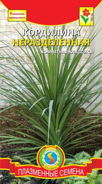 Семена Кордилина неразделённая ПЛ