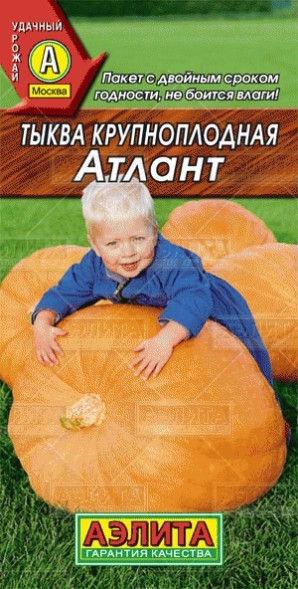 Семена Тыква Богатырская сила (Аэлита)