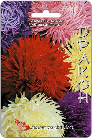 Семена Астра Дракон (Биотехника)