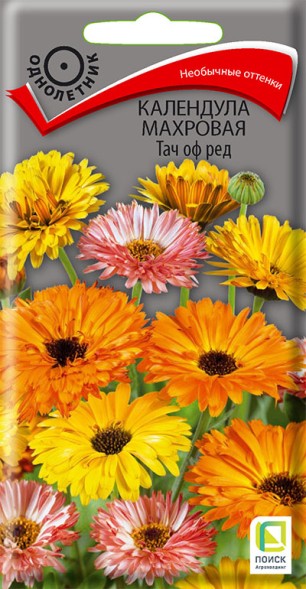 Семена Календула Тач оф Ред махровая (Поиск)